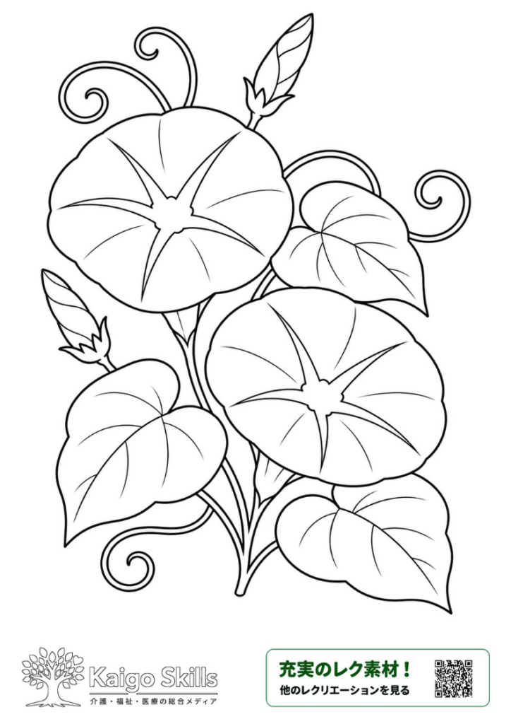 大きく咲いた2輪の朝顔とつぼみ、葉やつるを描いた夏の塗り絵｜介護レク素材