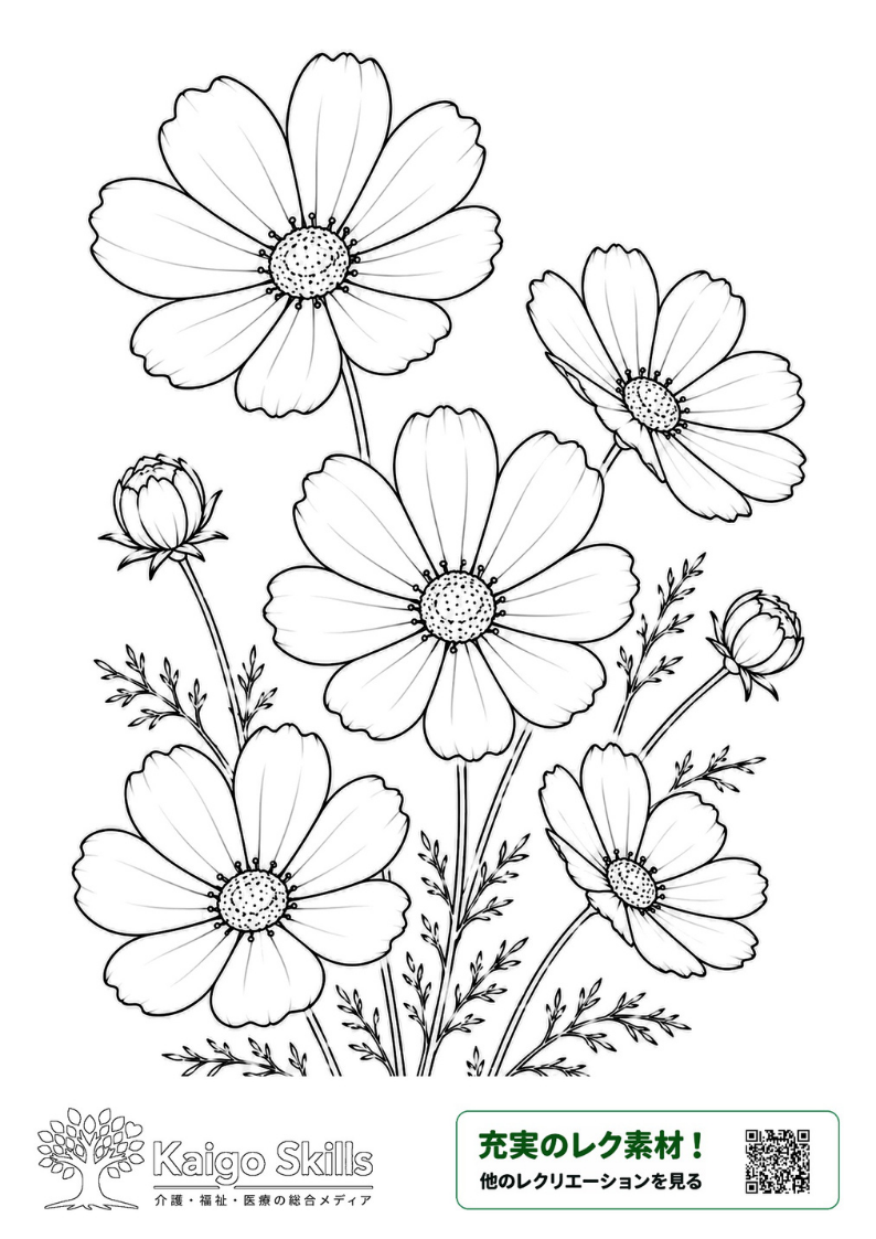大きく咲いた5輪のコスモスとつぼみ、細かな葉を描いた秋の塗り絵｜介護レク素材