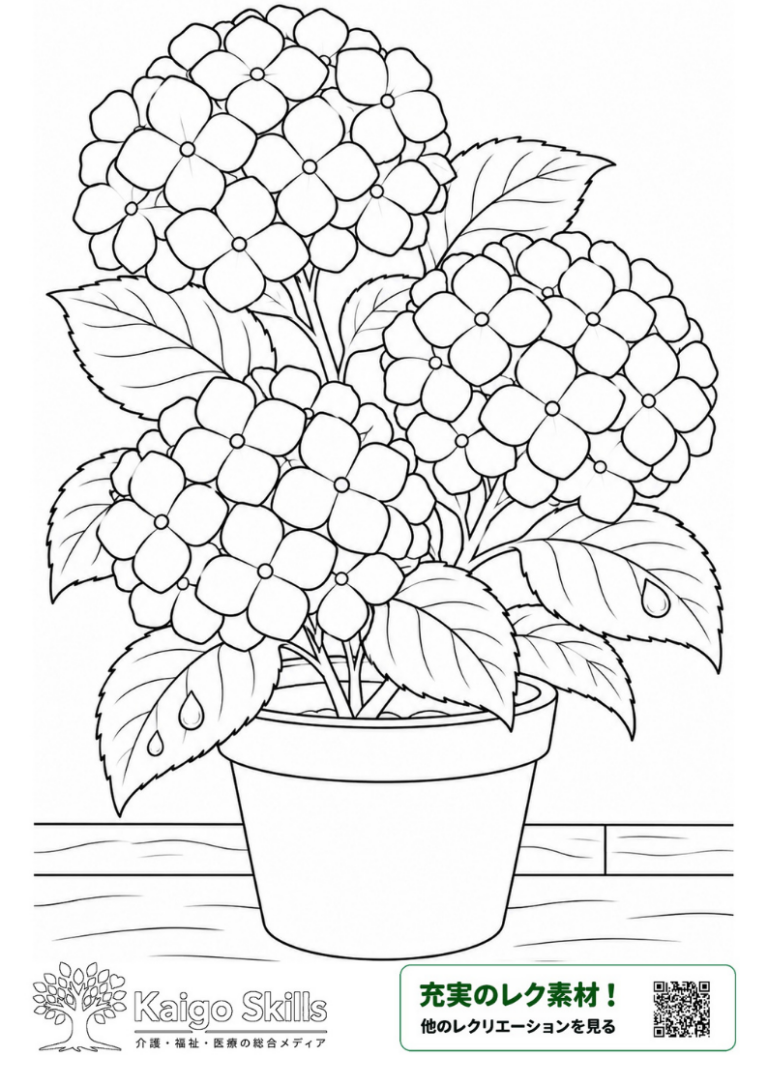 鉢植えに咲く3つの大きな紫陽花と、雨粒がついた葉を描いた梅雨の季節の塗り絵｜介護レク素材