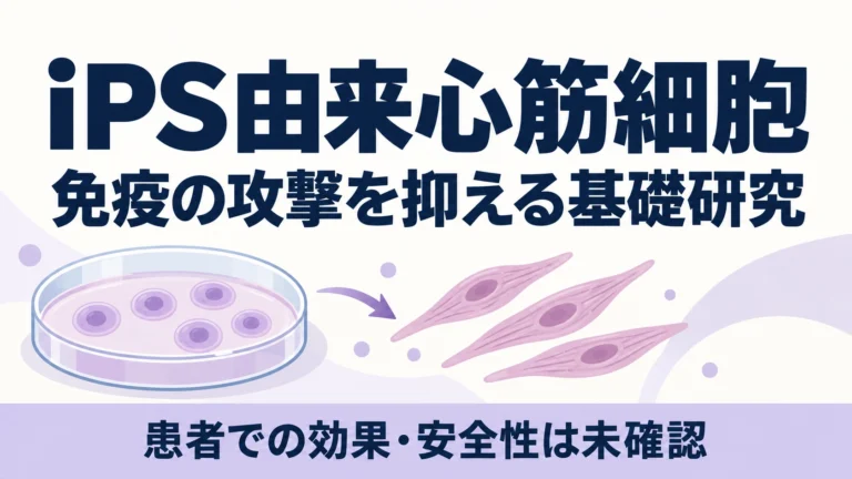 iPS由来心筋細胞への免疫細胞の攻撃を抑えるTAPBP研究を伝える概念図。培養実験のイメージで、実際の細胞画像や治療製品ではない。