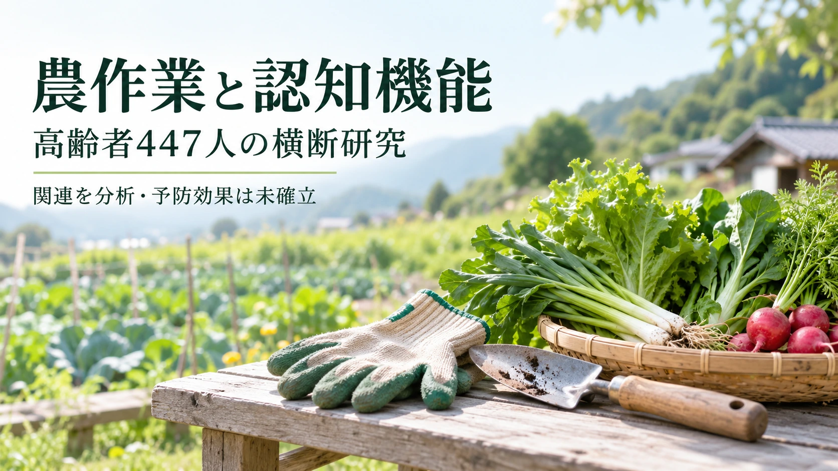 畑と農具を背景に、農作業と認知機能、高齢者447人の横断研究、関連を分析・予防効果は未確立と示したニュース画像